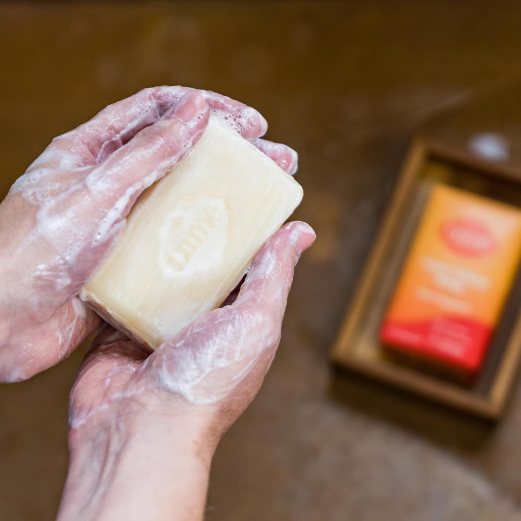 Lume Triple Milled Bar Soap - Rich Moisture & Gentle Cleansing - Paraben Free. Phthalate Free. Skin Safe - 5 ounce (Clean Tangerine)